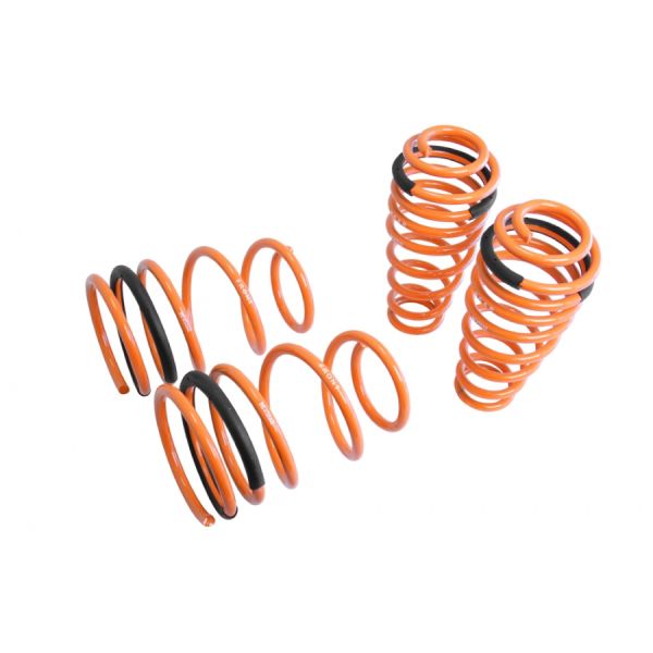 Lowering Springs for Ford Mustang 05-14 - MR-LS-FM05