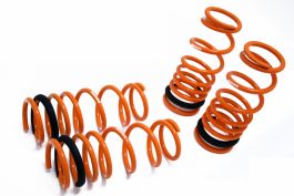 Megan Racing MR-LS-NS89 Coilover Lowering Spring 