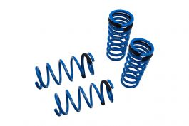 Details about   Godspeed Traction-S Lowering Springs For Lexus GS300/GS350/GS460 S190 06-11 RWD 