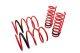 Lowering Springs - Euro-Version for Mercedes Benz C-Class 01-05 (RWD Only)