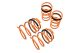 Lowering Springs for Nissan Maxima 04-08 / Altima 02-06