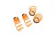 Toyota Camry 12-17 (Non-SE) Lowering Springs - MR-LS-TCA12