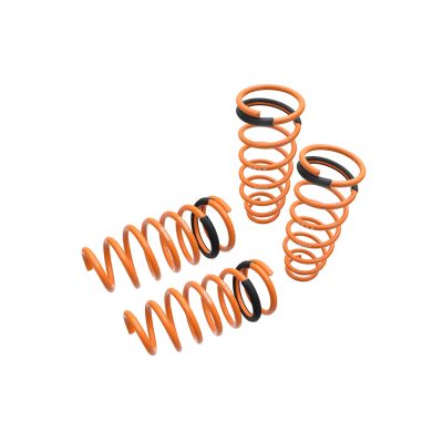 Lowering Springs - Shocks and Springs - Suspension