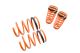 Lowering Springs for Acura RSX Base/Type S 02-04 