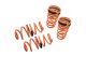 Lowering Springs for Honda Civic 06-11 (Includes Si)