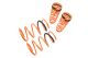 Lowering Springs for Nissan Maxima 00-03 