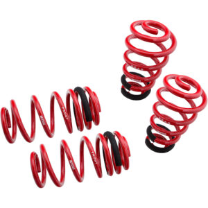 Lowering Springs - Euro-Version for Audi A4 02-05 FWD