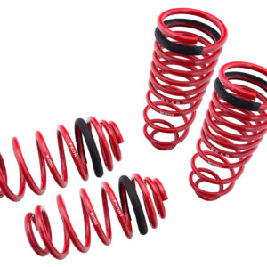 Lowering Springs - Euro-Version for Audi A4 96-01 FWD