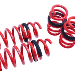 Lowering Springs - Euro-Version for Audi R8 Coupe / Cabriolet 08-15