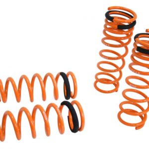 Lowering Springs for Acura TSX 04-08 / Honda Accord 03-07
