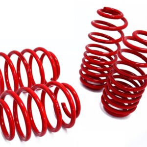 Lowering Springs - Euro-Version for Audi TT 08+