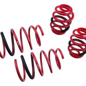 Lowering Springs - Euro-Version for BMW 93-98 E36 92-98