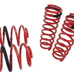 Lowering Springs - Euro-Version for BMW 5 Series E60 04-10 w/o Self-Leveling