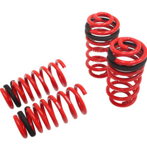 Lowering Springs - Euro-Version for BMW X6 2015+