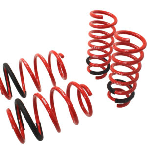 Lowering Springs - Euro-Version for BMW X3 11-16 / X4 2014+