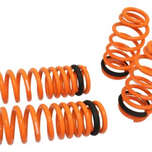 Lowering Springs for Chrysler 300C 05-10 - MR-LS-DC06