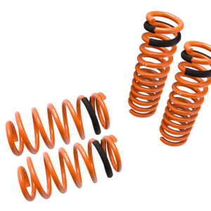 Lowering Springs for Dodge Charger 06-10