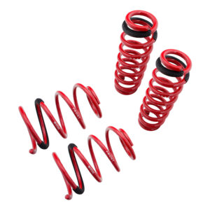 Lowering Springs - Euro-Version for BMW 3 Series E90 06-11 (Excludes XI AWD)