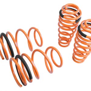 Lowering Springs for Ford Mustang 05-14