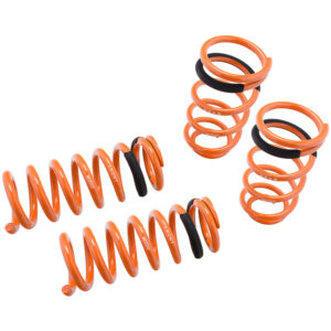 Lowering Springs for Ford Escort 97-01 / ZX2 97-02 – MR-LS