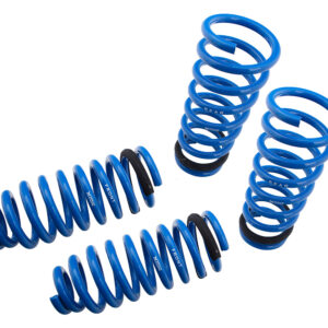 Lowering Springs for Lexus GS400/GS430 98-04