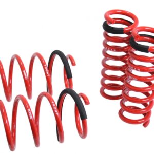 Lowering Springs - Euro-Version for Mercedes Benz C-Class (W204) 08-14