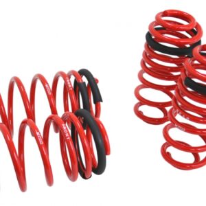 Lowering Springs - Euro-Version for Audi A3 Wagon 06-13 / Volkswagen GTS V 06-09 (3 Door Only / Jetta V 06-10