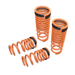 Lowering Springs for Nissan GT-R (R35) 09-15 - MR-LS-NR35