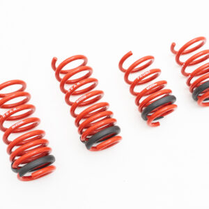 Audi R8 17+ V10 Only (Exc Mag-Ride) Lowering Springs - MR-LS-AR817-0